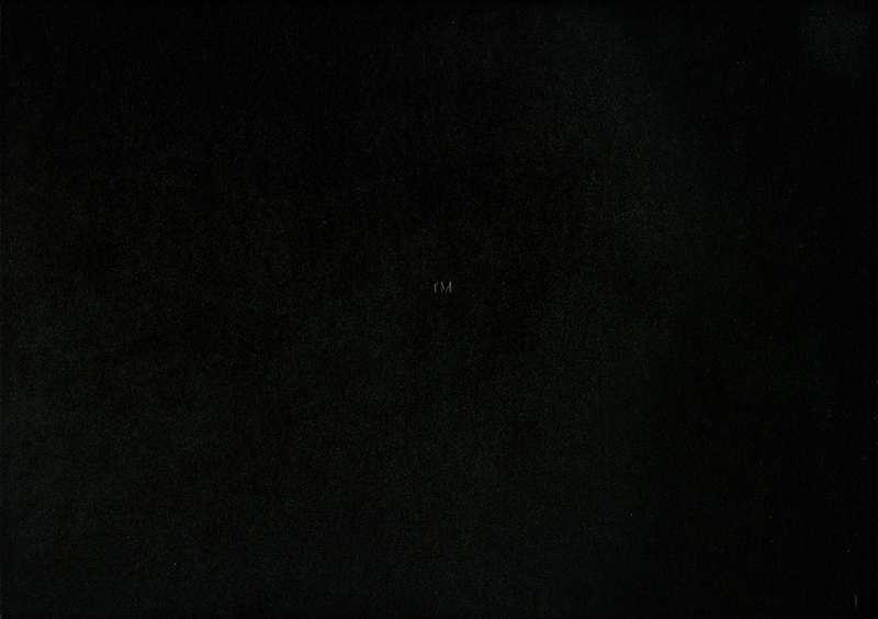 TM 1, 21.5x30.5, 74 pages, reliure en veau noir par Jean Luc Honegger:800